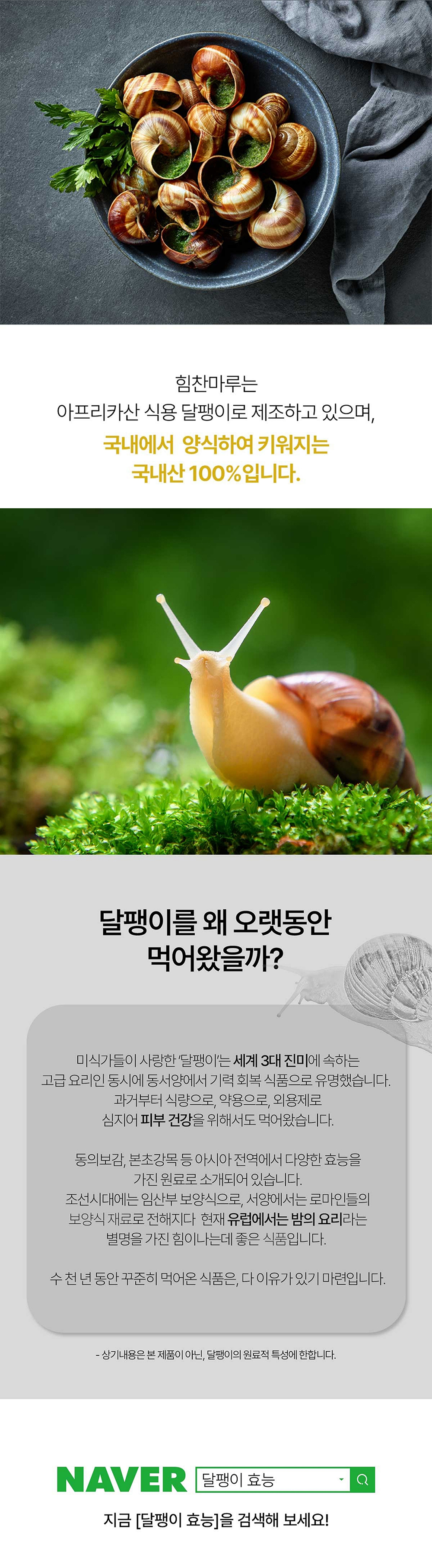 17_왜 달팽이2.jpg